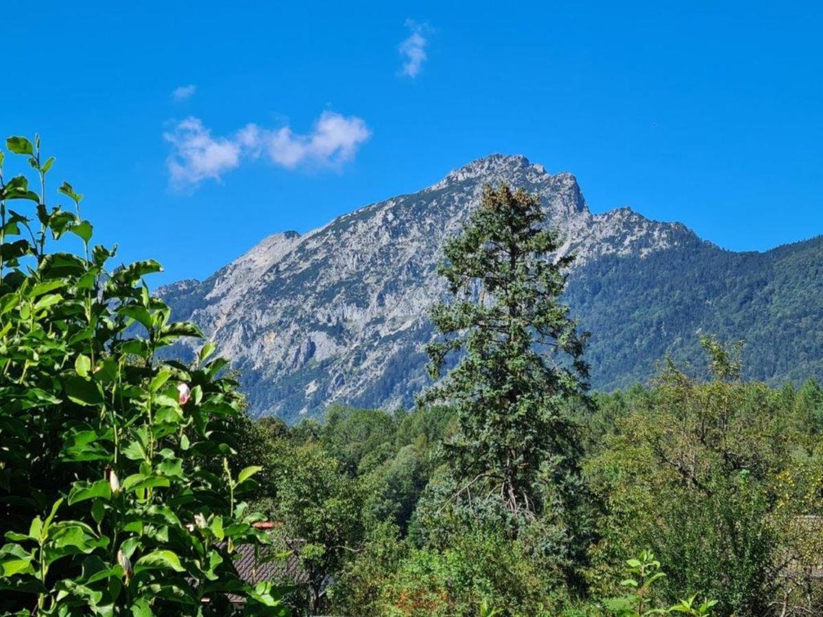 Ferienwohnungen Sommer Bayerisch Gmain Zewnętrze zdjęcie